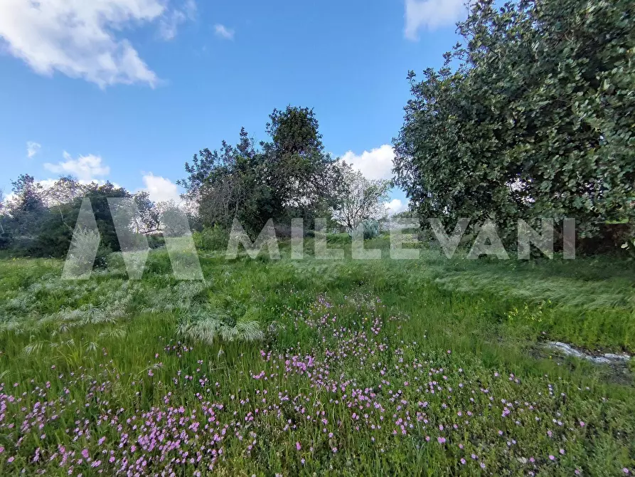 Immagine 24 di Rustico / casale in vendita  a Scicli