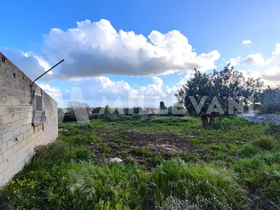 Immagine 2 di Terreno agricolo in vendita  in San Giovanni Lo Pirato a Scicli