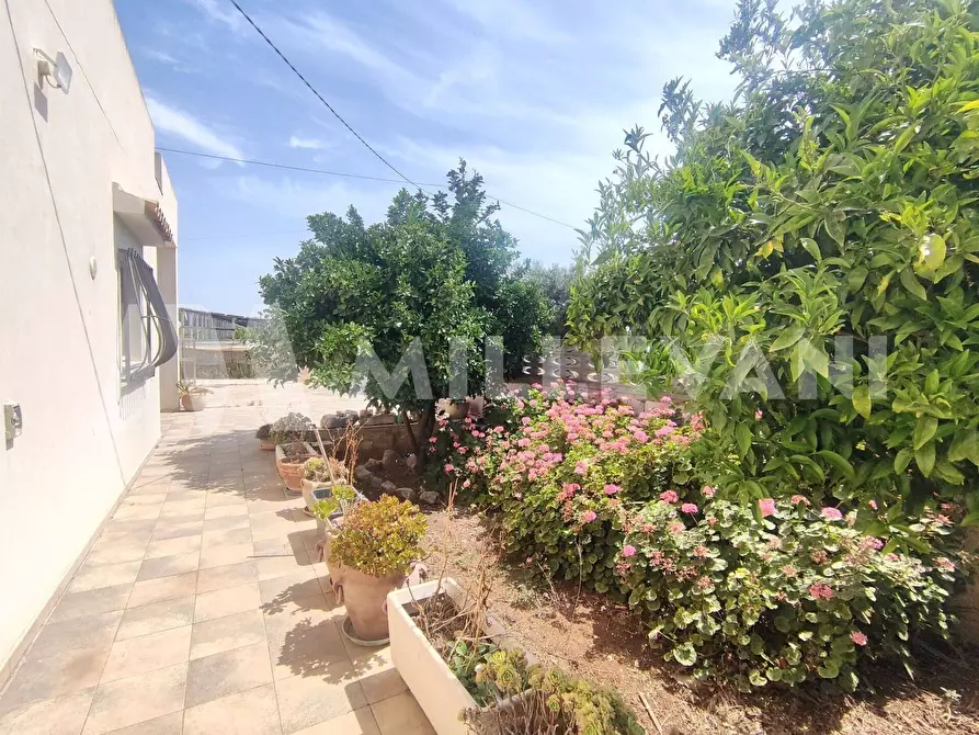 Immagine 14 di Villa in vendita  in Via Valdo 95 a Scicli