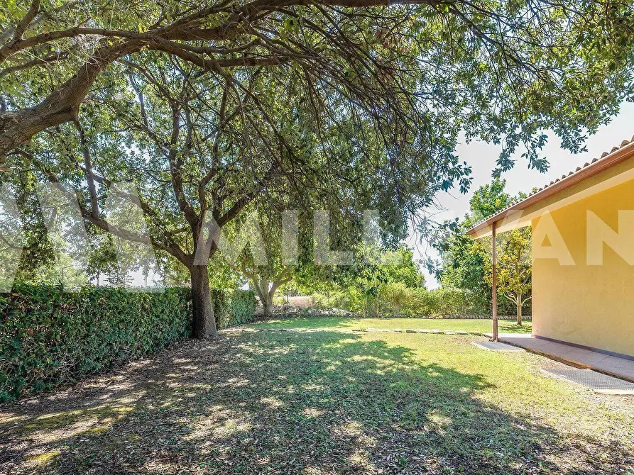 Immagine 24 di Villa in vendita  in C.da Sant'antonio Piano Ceci a Modica