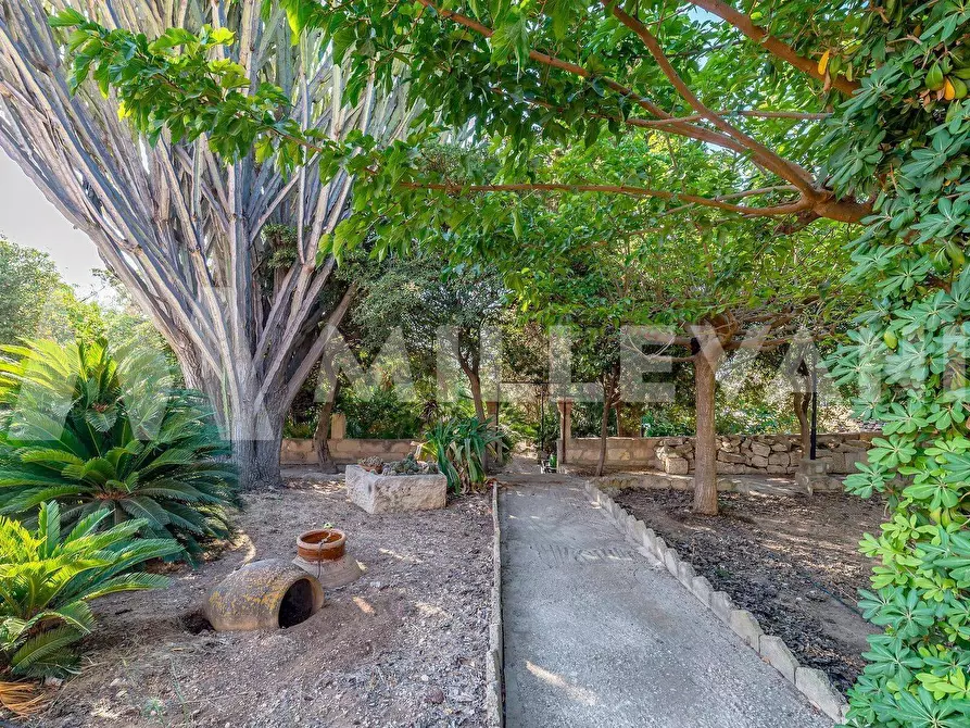 Immagine 24 di Villa in vendita  in Via Gaetano schembri 31 a Giarratana