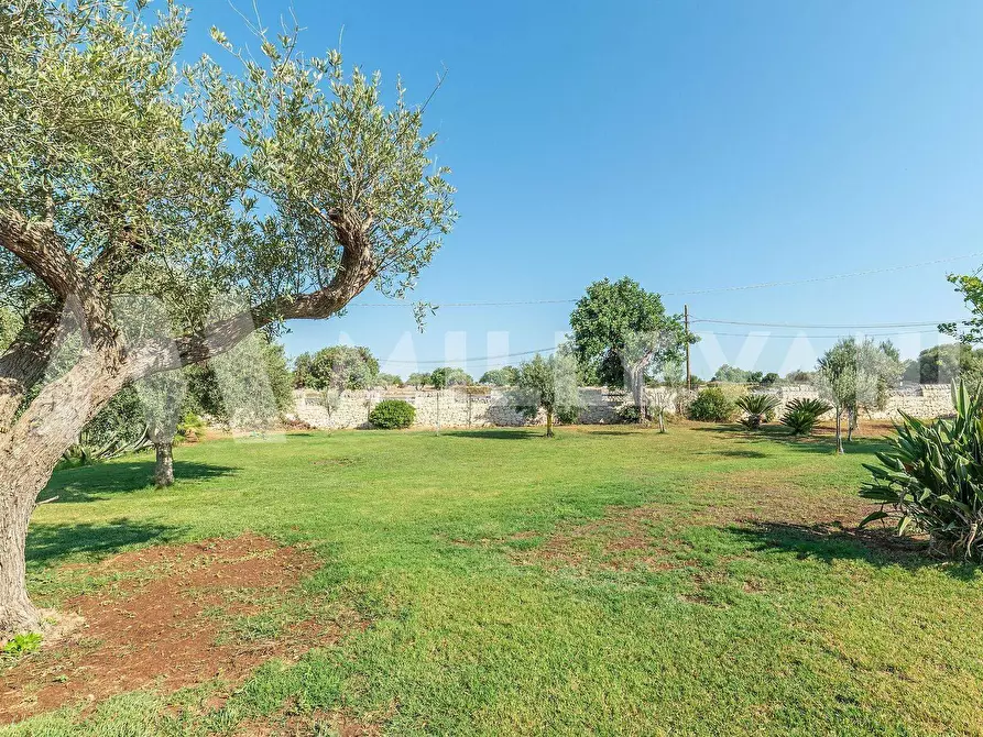 Immagine 23 di Villa in vendita  a Modica