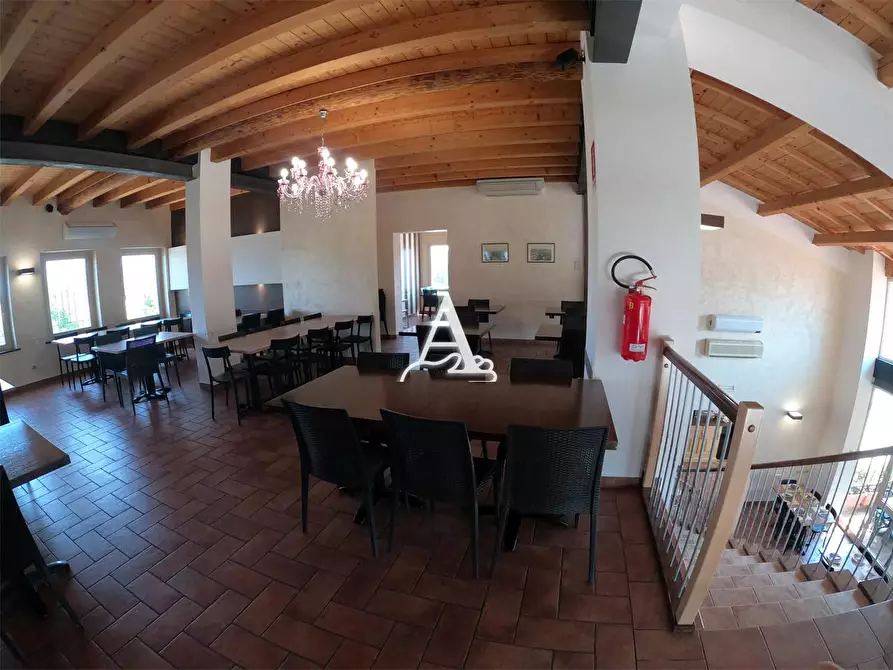 Immagine 7 di Negozio in vendita  a Nogara