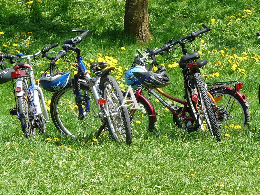 Immagine 1 di Licenza in vendita  a Bardolino