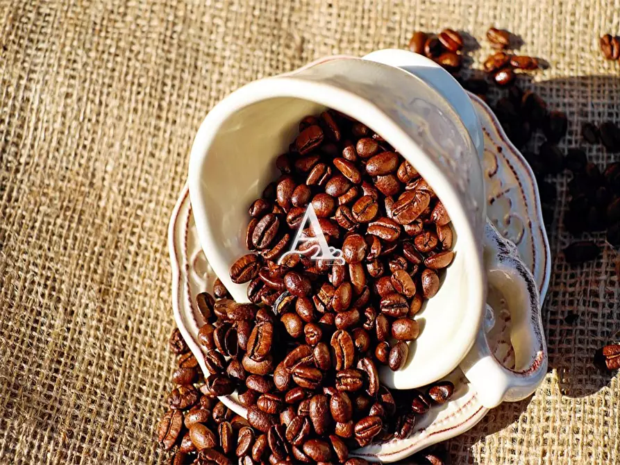 Immagine 2 di Bar / Ristorante in vendita  a Sant'ambrogio Di Valpolicella