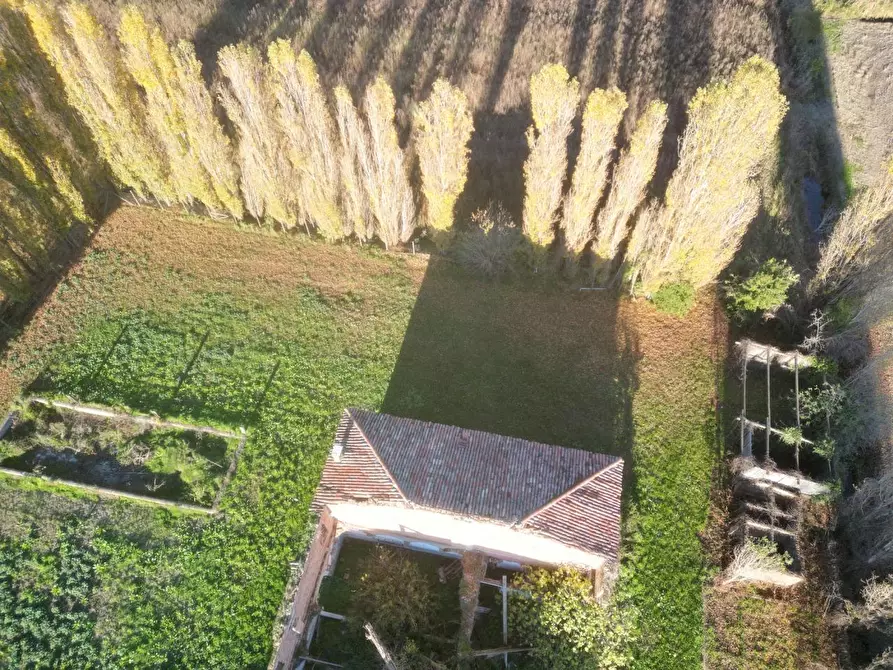 casa indipendente in vendita a Casaleone