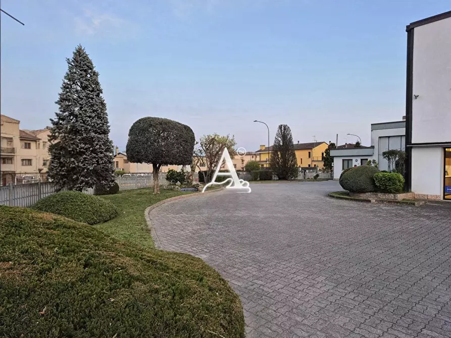 Immagine 3 di Negozio in vendita  a Cerea