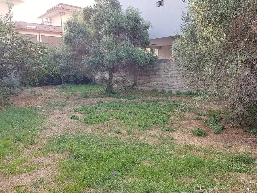 Immagine 4 di Terreno edificabile in vendita  a Casoria