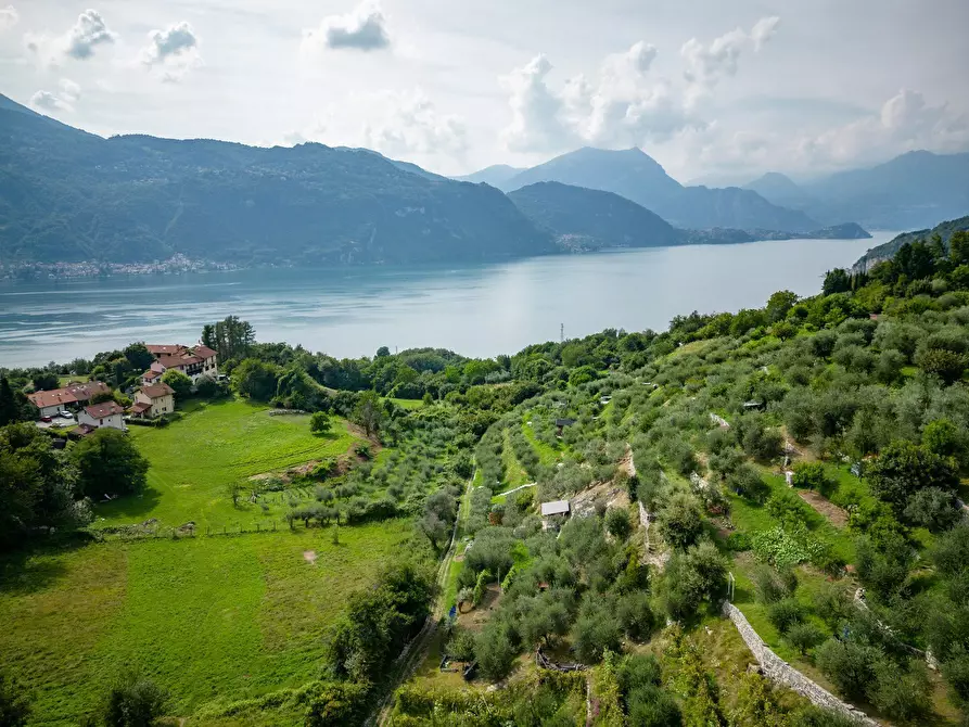 Immagine 8 di Terreno edificabile in vendita  a Mandello Del Lario