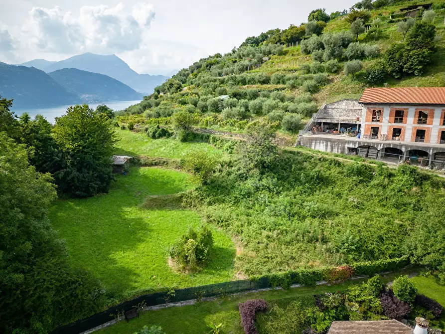 Immagine 6 di Terreno edificabile in vendita  a Mandello Del Lario