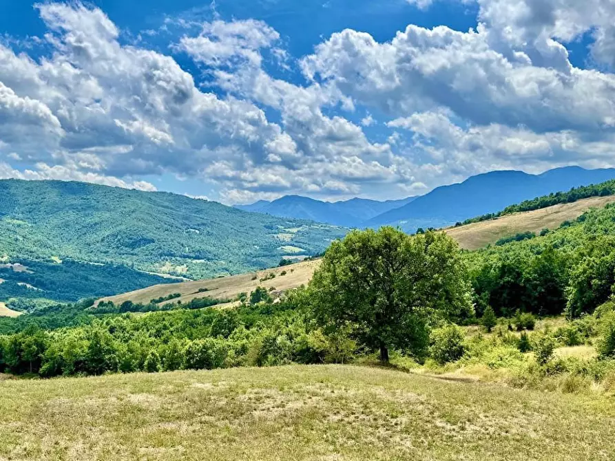 Immagine 2 di Casa indipendente in vendita  a Gaggio Montano