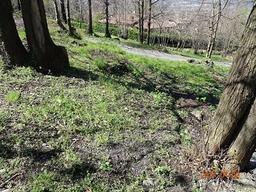 Immagine 8 di Terreno edificabile in vendita  a Ello