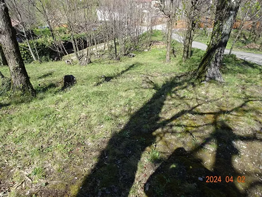 Immagine 3 di Terreno edificabile in vendita  a Ello