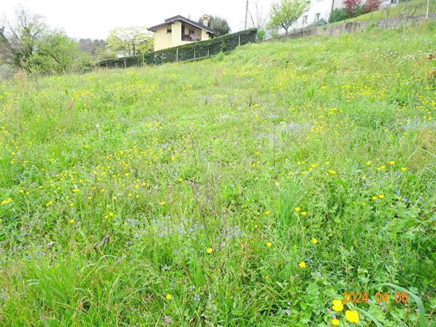 Immagine 6 di Terreno edificabile in vendita  a Oggiono