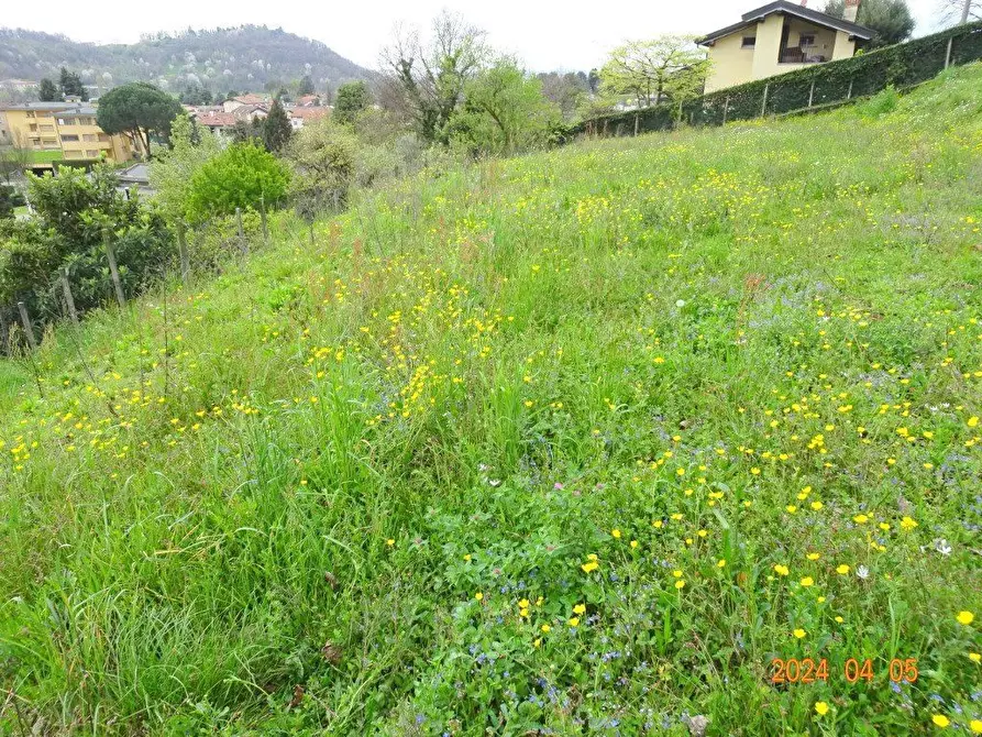 Immagine 10 di Terreno edificabile in vendita  a Oggiono