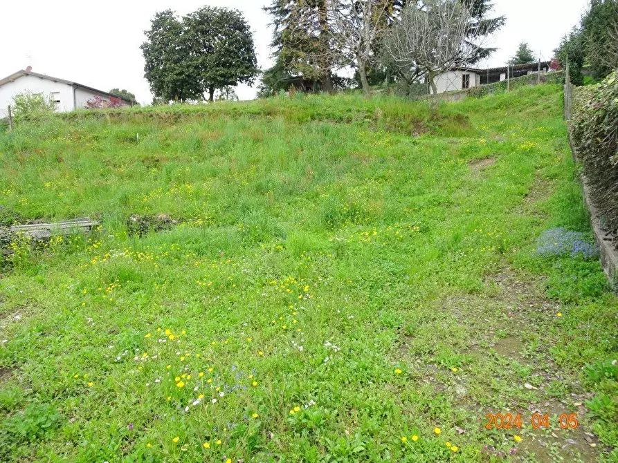 Immagine 2 di Terreno edificabile in vendita  a Oggiono