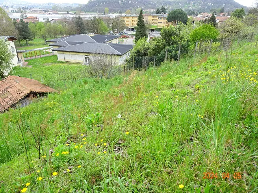 Immagine 8 di Terreno edificabile in vendita  a Oggiono
