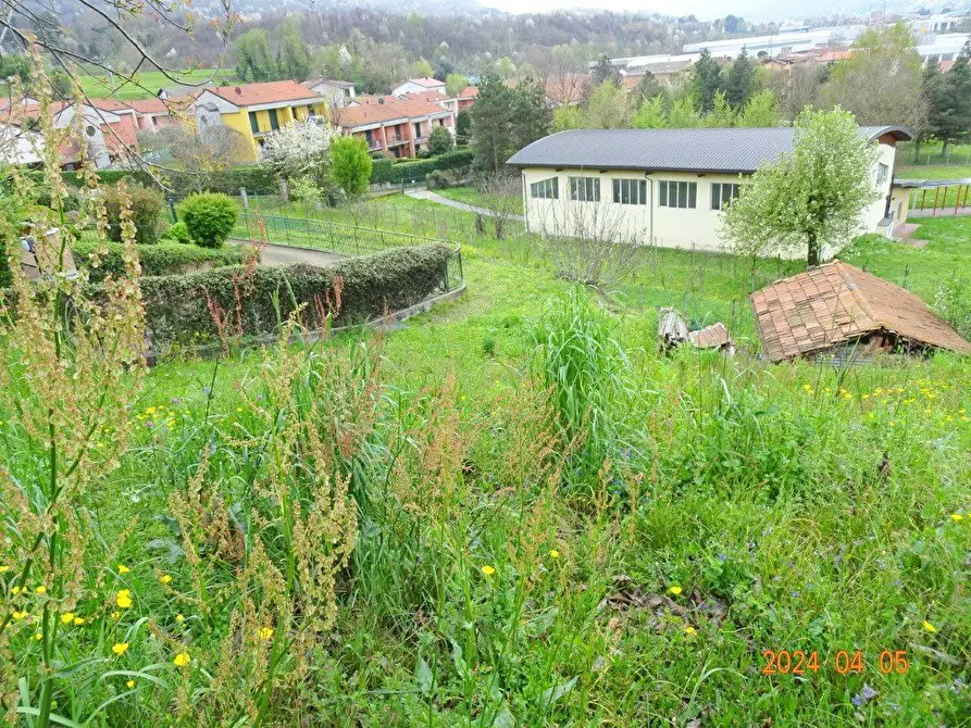 Immagine 5 di Terreno edificabile in vendita  a Oggiono