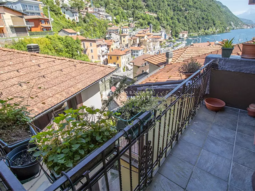 Immagine 8 di Villetta a schiera in vendita  131 a Argegno