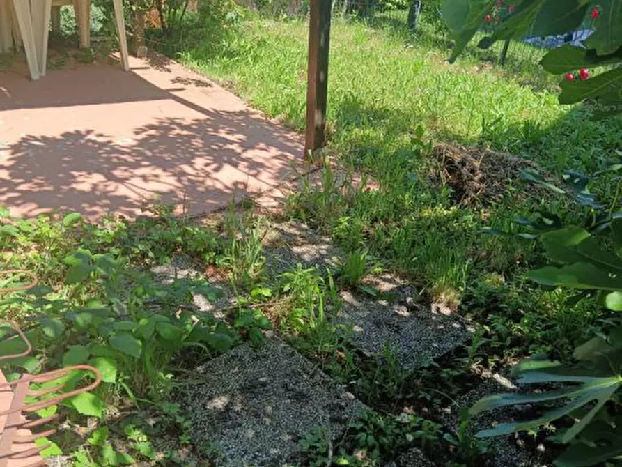 Immagine 8 di Appartamento in vendita  a Montefiore Conca