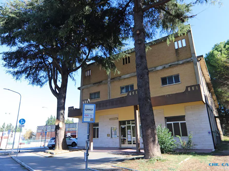 Immagine 5 di Capannone industriale in vendita  18 a Morciano Di Romagna