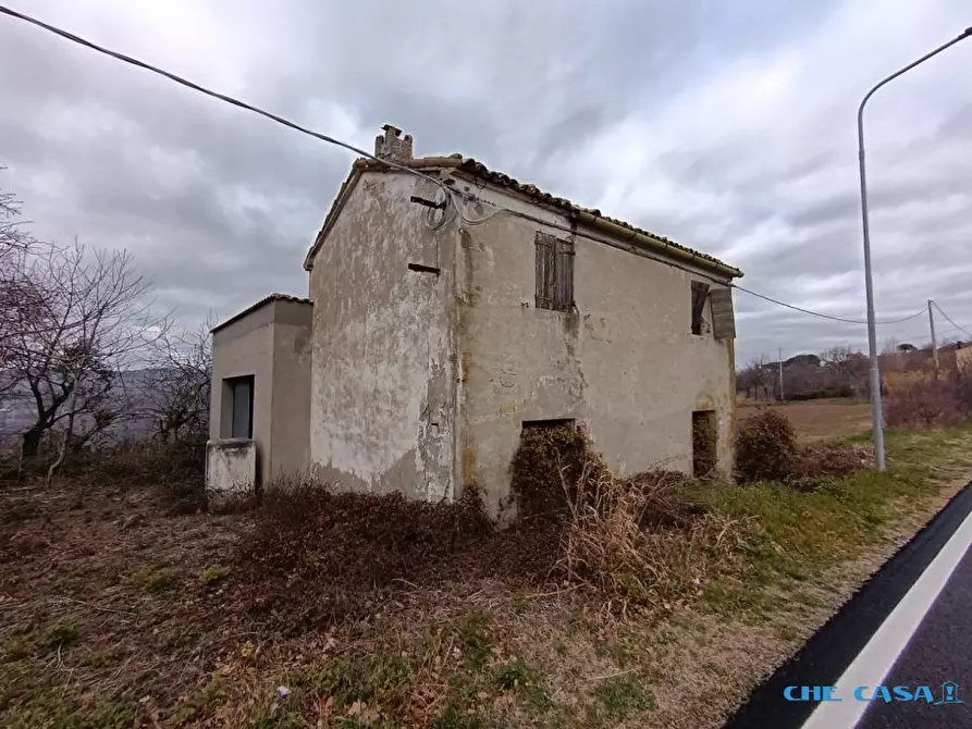 Immagine 10 di Rustico / casale in vendita  a Tavoleto