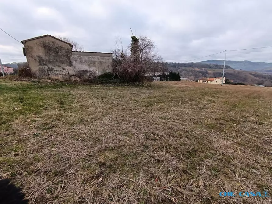 Immagine 7 di Rustico / casale in vendita  a Tavoleto