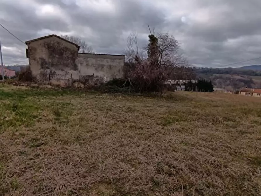 Immagine 5 di Rustico / casale in vendita  a Tavoleto