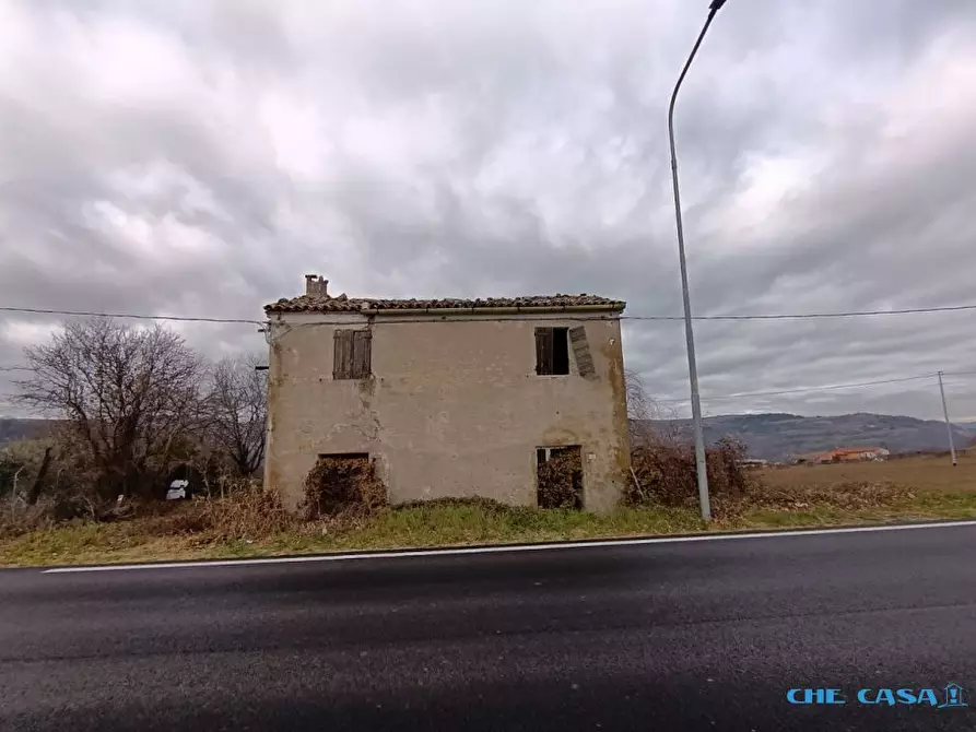 Immagine 3 di Rustico / casale in vendita  a Tavoleto