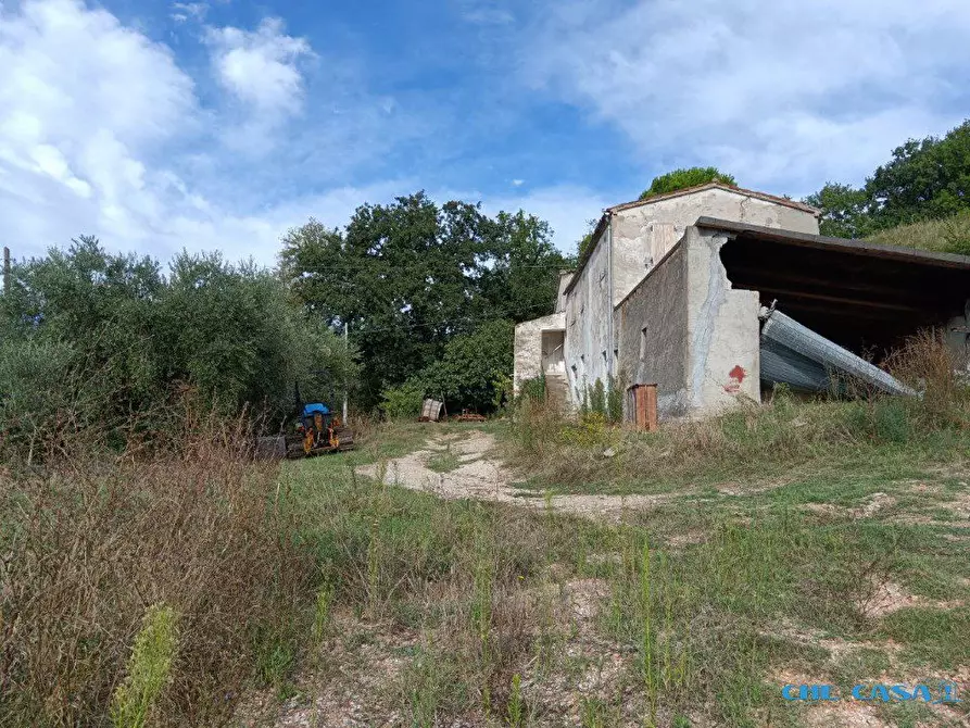 Immagine 3 di Rustico / casale in vendita  a Tavoleto