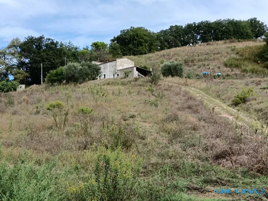 Immagine 7 di Rustico / casale in vendita  a Tavoleto
