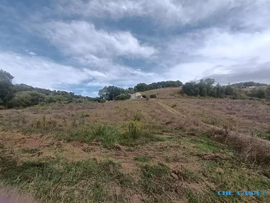 Immagine 8 di Rustico / casale in vendita  a Tavoleto