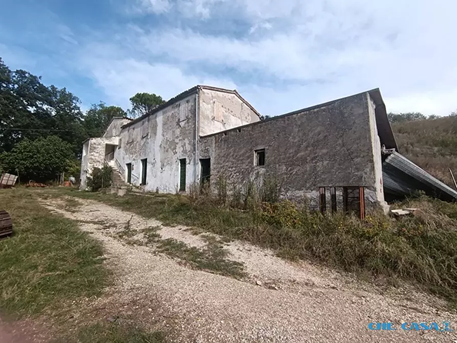 Immagine 6 di Rustico / casale in vendita  a Tavoleto