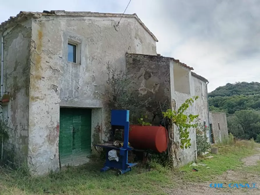 Immagine 2 di Rustico / casale in vendita  a Tavoleto