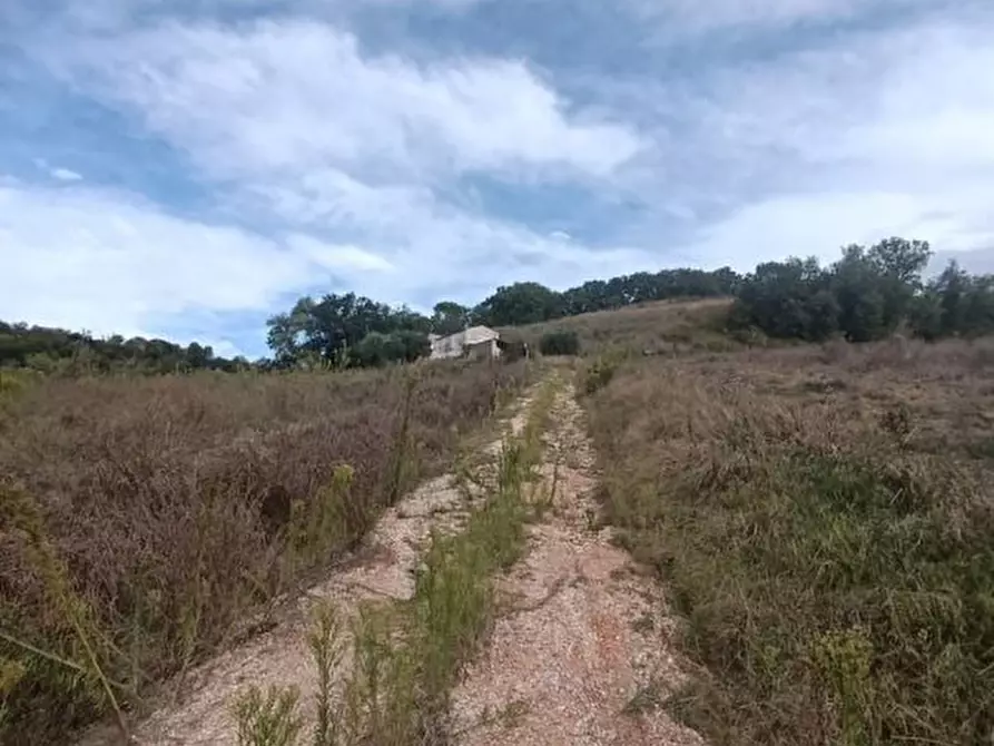 Immagine 10 di Rustico / casale in vendita  a Tavoleto