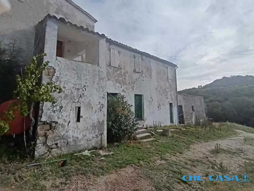 Immagine 5 di Rustico / casale in vendita  a Tavoleto