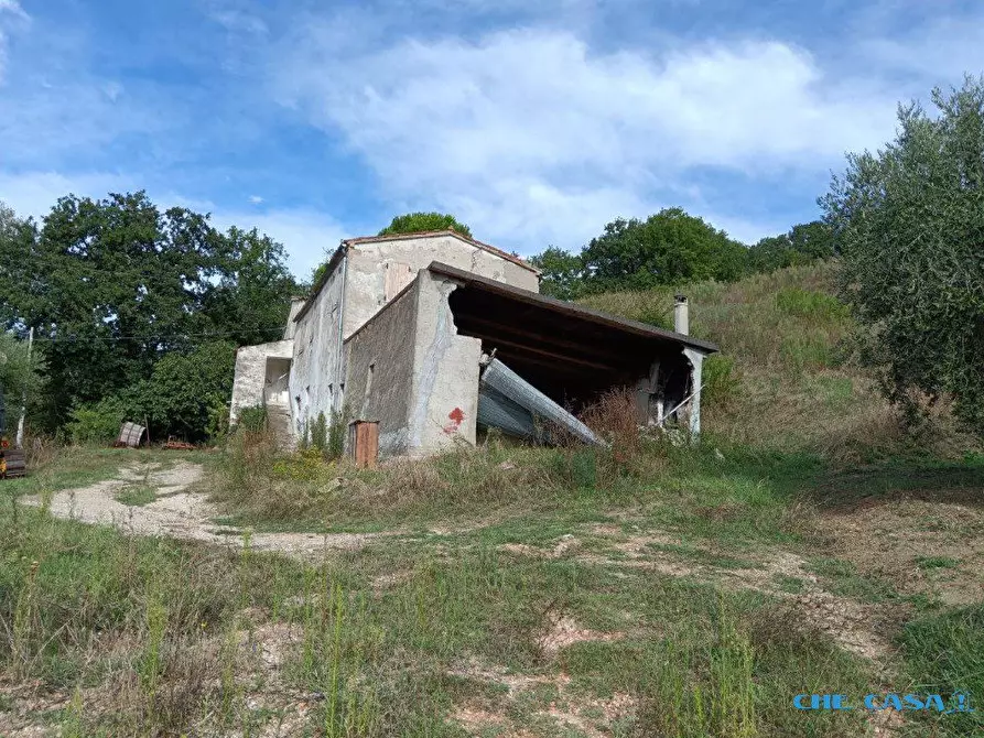 Immagine 4 di Rustico / casale in vendita  a Tavoleto