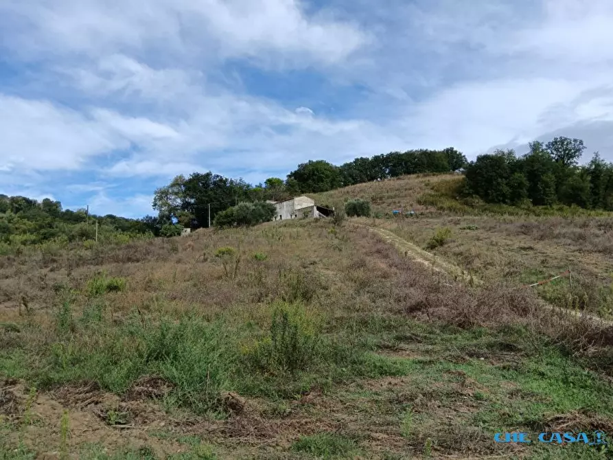 Immagine 9 di Rustico / casale in vendita  a Tavoleto