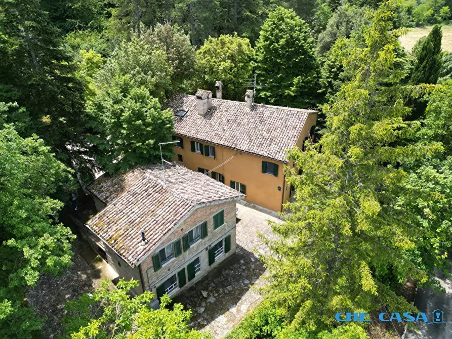 Immagine 1 di Rustico / casale in vendita  4 a Urbino