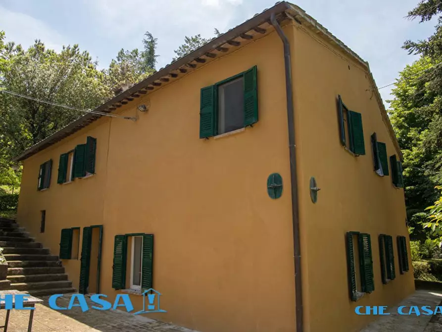 Immagine 5 di Rustico / casale in vendita  4 a Urbino