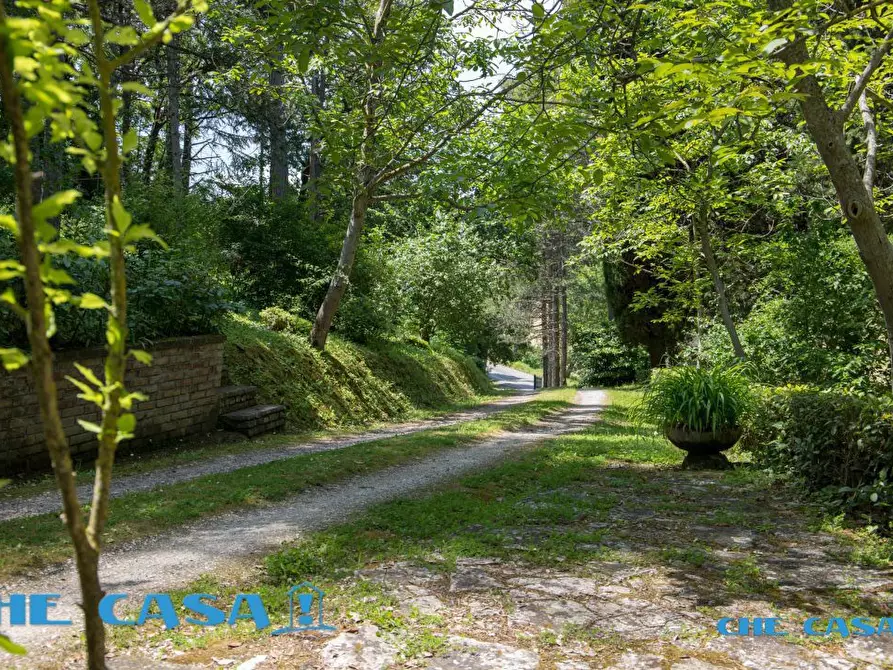 Immagine 10 di Rustico / casale in vendita  4 a Urbino
