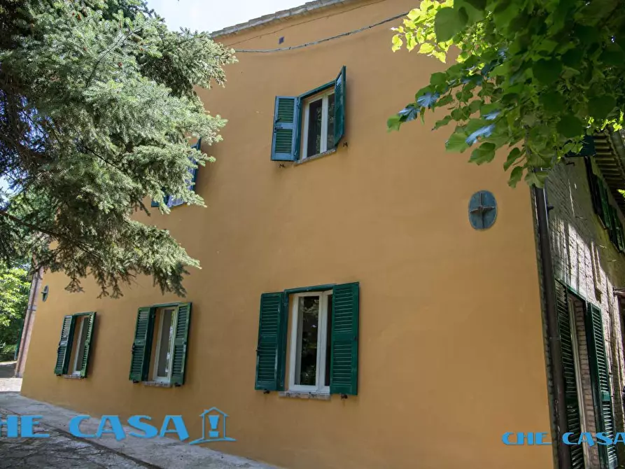 Immagine 7 di Rustico / casale in vendita  4 a Urbino