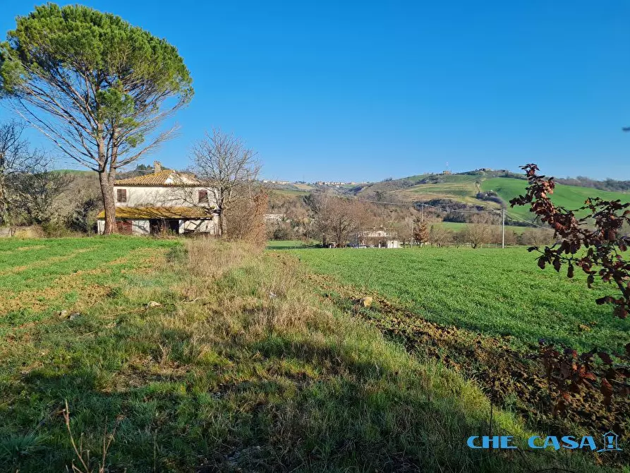 Immagine 3 di Rustico / casale in vendita  a Coriano