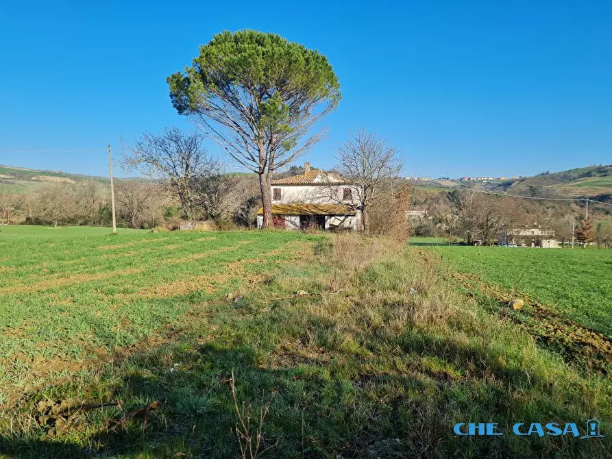 Immagine 10 di Rustico / casale in vendita  a Coriano
