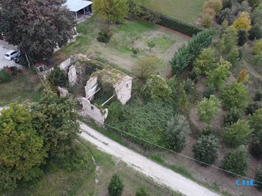 Immagine 1 di Rustico / casale in vendita  a San Clemente