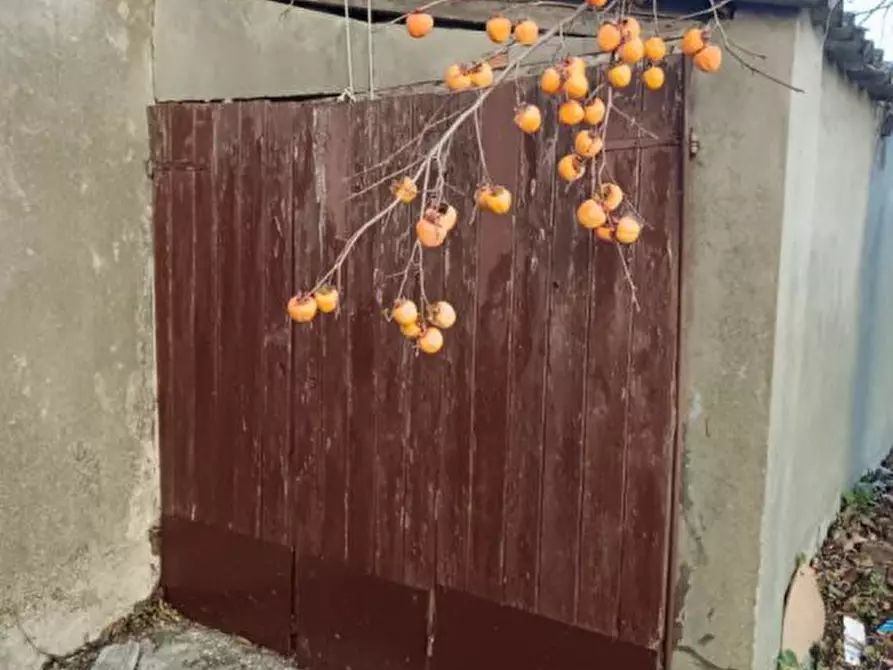 Immagine 7 di Casa semindipendente in vendita  a Tavoleto