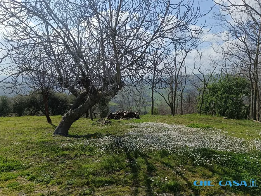 Immagine 9 di Casa semindipendente in vendita  a Tavoleto