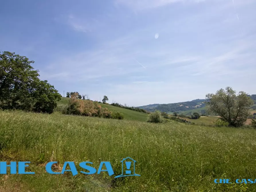 Immagine 4 di Villa in vendita  a Montefiore Conca
