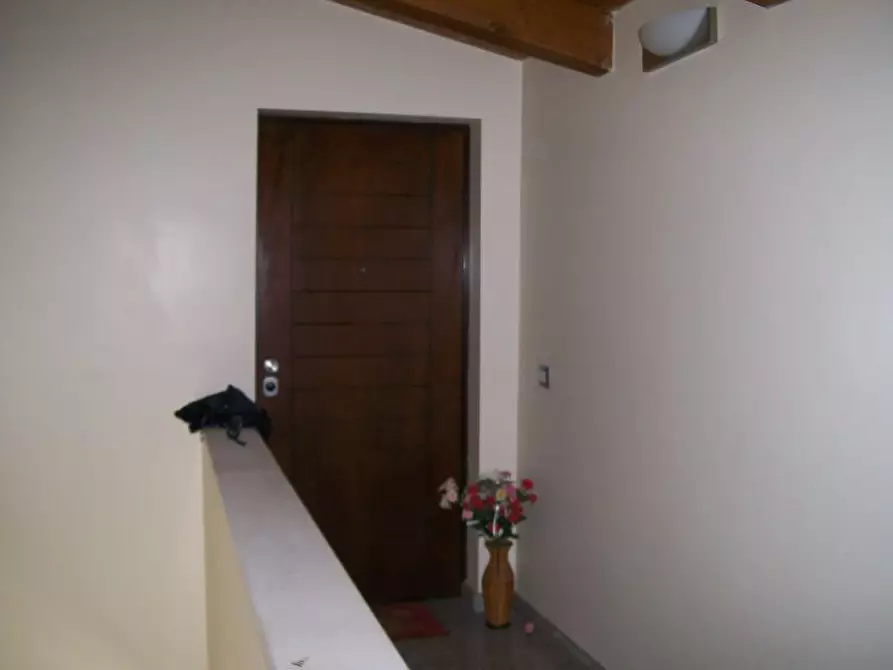 Immagine 6 di Appartamento in vendita  a Cepagatti