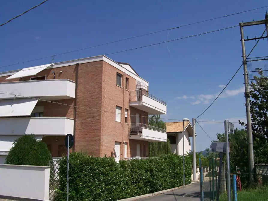 Immagine 3 di Appartamento in vendita  a Cepagatti